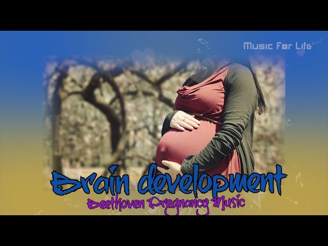 Pregnancy Music | Classical Piano Music for Babies | Brain Development.