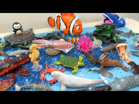 Toy Sea Animals Names with Blue Colored Sensory Rice