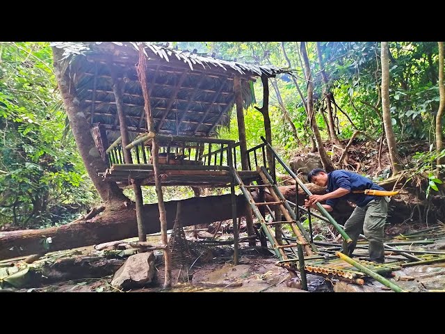 Full video 7 Days solo Bushcraft: Make a bamboo boat for fishing .Survival in the rain forest .