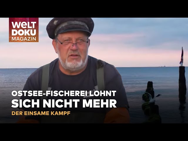 FISCHER IN BANSIN: Der einsame Kampf - Überfischung bedroht eine Tradition | WELT Magazin Doku
