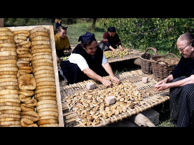 Dried figs. Traditional drying and boxing of figs | Lost Trades | Documentary film