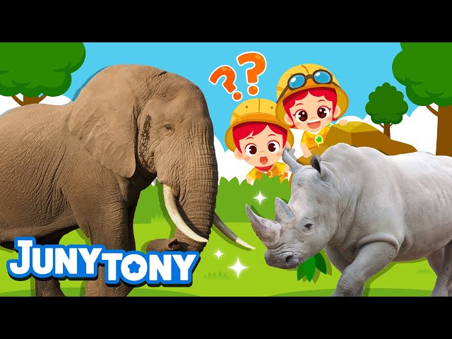 Los Animales Terrestres Más Grandes | Elefante, Rinoceronte | JunyTony en español