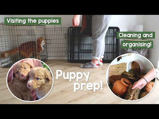 Preparing for my Puppy to come home, and meeting her for the first time | VLOG