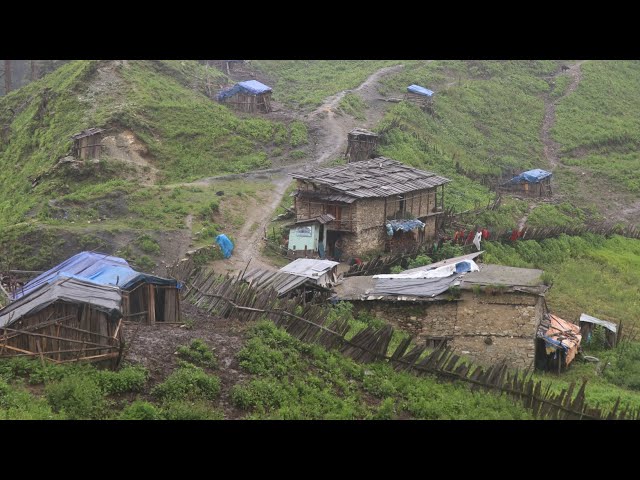 Happy Nepali Mountain Village Life in Highland || Very Peaceful and Relaxing || IamSuman
