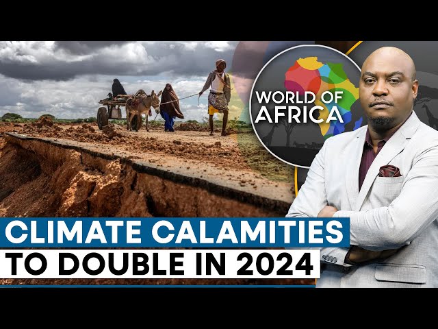 Africa: Extreme weather patterns affect different regions | WION World of Africa