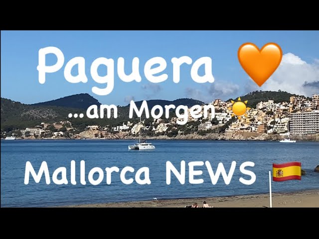 Paguera 🧡 nachts Regen ☔️ Mallorca NEWS 🇪🇸 Morgen Rundgang 🧡 Romana & Tora 🌴 Boulevard 🧡 Strand 23°