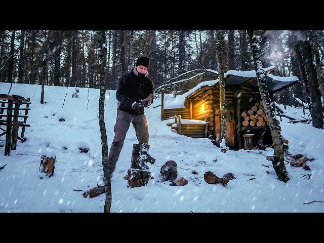 1 YEAR ALONE IN A DUGOUT IN THE WILD FOREST | Bushcraft and Survival