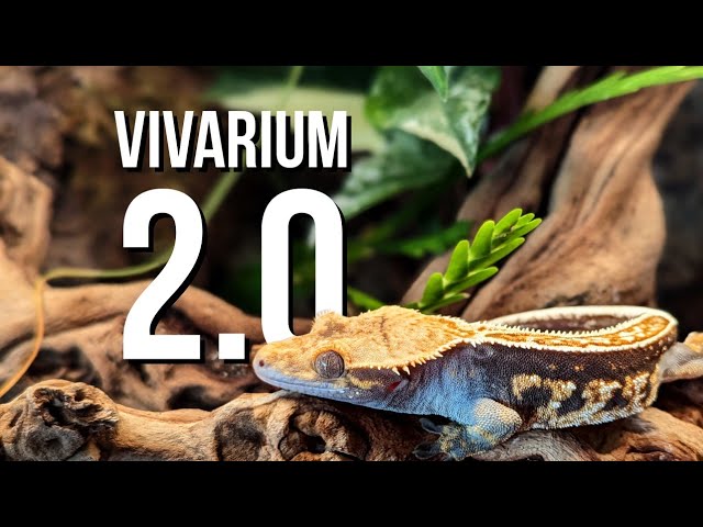 Vivarium upgrade | don't make the mistakes I did
