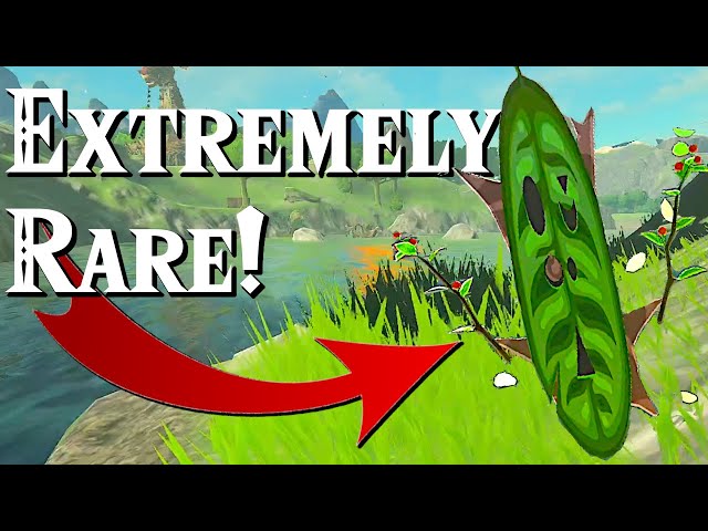 Everything You Didn't Know You Needed to Know about Koroks
