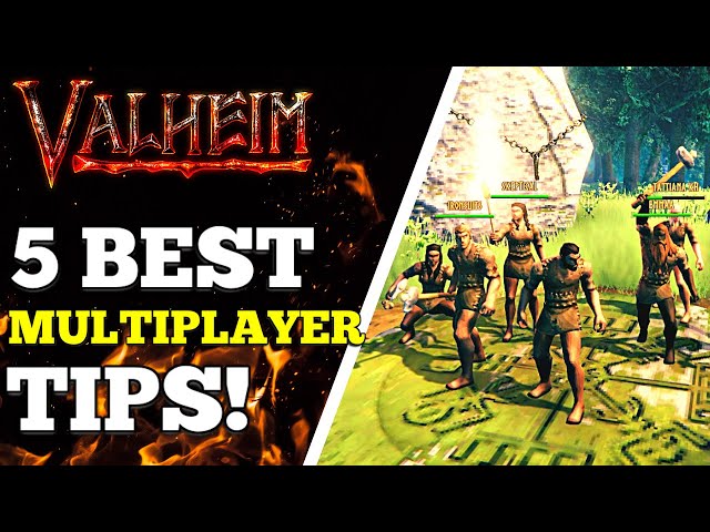 Valheim - 5 Multiplayer Server Tips!