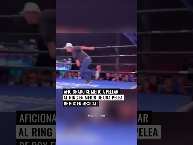 Aficionado se metió a pelear 🤜💥 al ring en medio de una pelea de Box 🥊 en Mexicali, Baja California