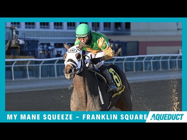 My Mane Squeeze - 2024 - The Franklin Square