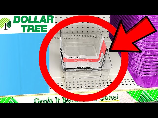 10 Things You SHOULD Be Buying at Dollar Tree in January 2024