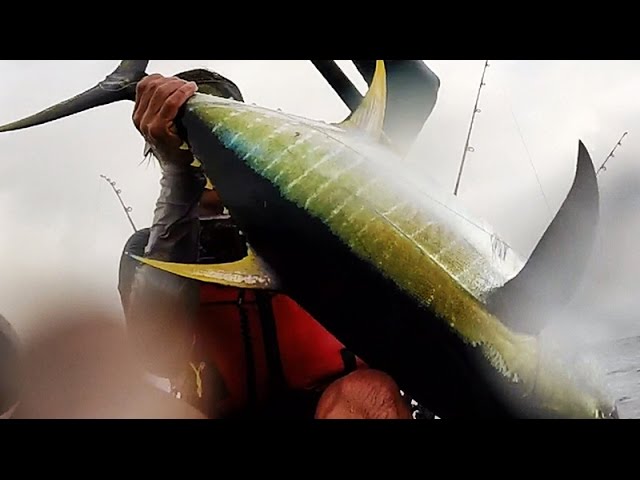 Fish for the new reel - Penn Spinfisher V - Kayak Fishing Australia