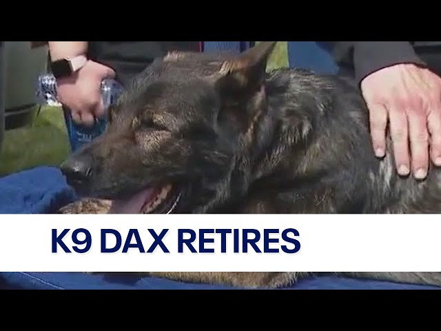 K9 Dax retires after 9 years at Lake County Sheriff’s Department: 'Your official request to retire i