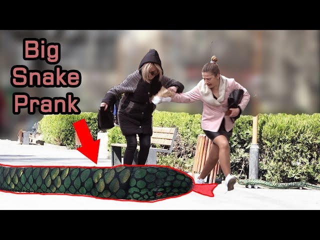 Big Snake Scare Prank!  2019 - AWESOME REACTIONS - Best of Just For Laughs