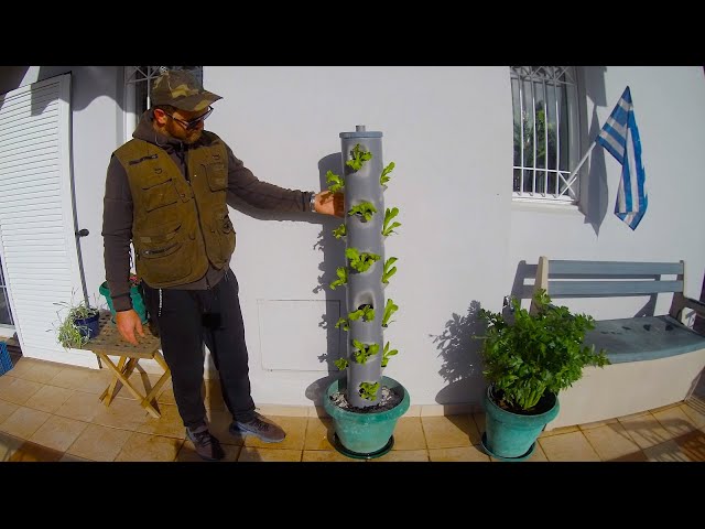 Grow Lettuce Vertically in pvc Tower!