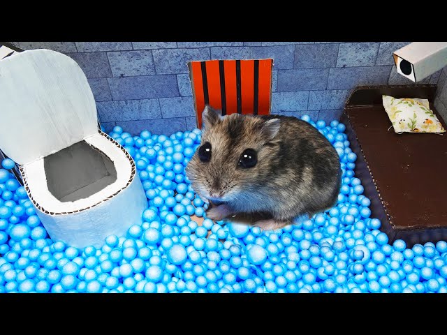🐹 Hamster escapes the amazing maze! 🐹 Real life traps for Pets