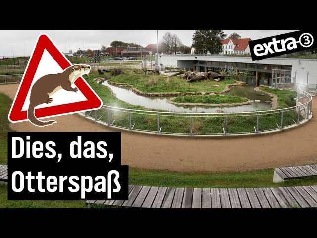 Realer Irrsinn: Fischotter-Palast in Tönning | extra 3 | NDR
