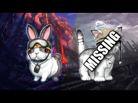 Rescue Cat is Missing! Rescue Rabbits Adventures