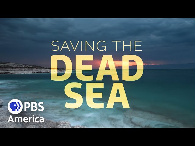 Saving the Dead Sea FULL SPECIAL | NOVA | PBS America