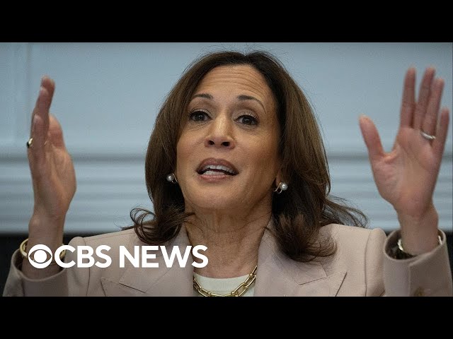 Vice President Harris looks to mobilize Black voters ahead of November