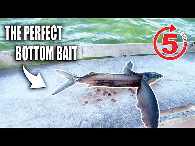 HOW TO DEBONE BALLYHOO - Best bait for bottom fish | Gale Force Twins