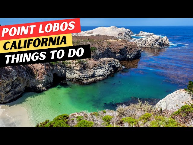 The 9 BEST Things To Do In Point Lobos State Natural Reserve & 1 Thing NOT To Do