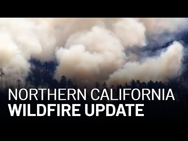 LIVE: Updates on California Wildfires, Evacuations [8/19 4PM]