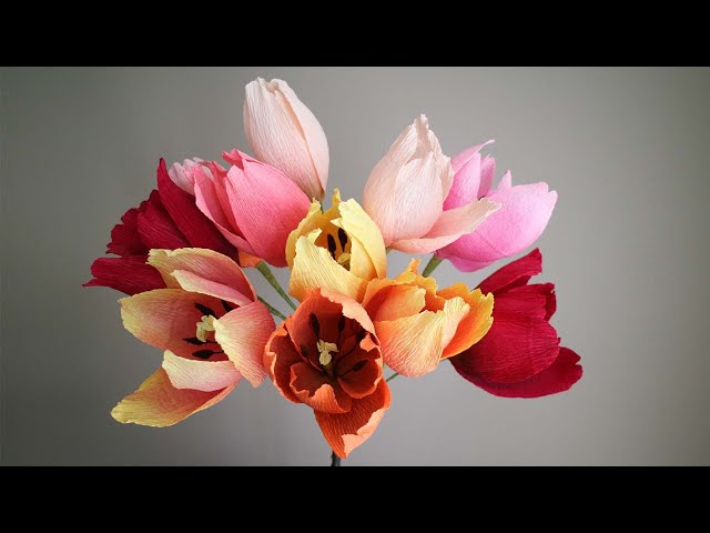 Crepe paper tulip / Tulipe en papier crépon trailer