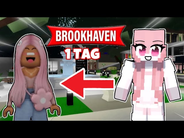 MEIN 1 TAG IN BROOKHAVEN CITY #001
