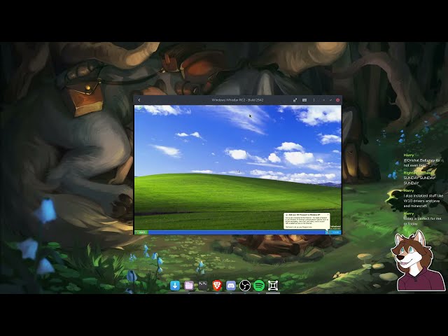 Windows Whistler | New Delve Format? | Distro Delves LIVE