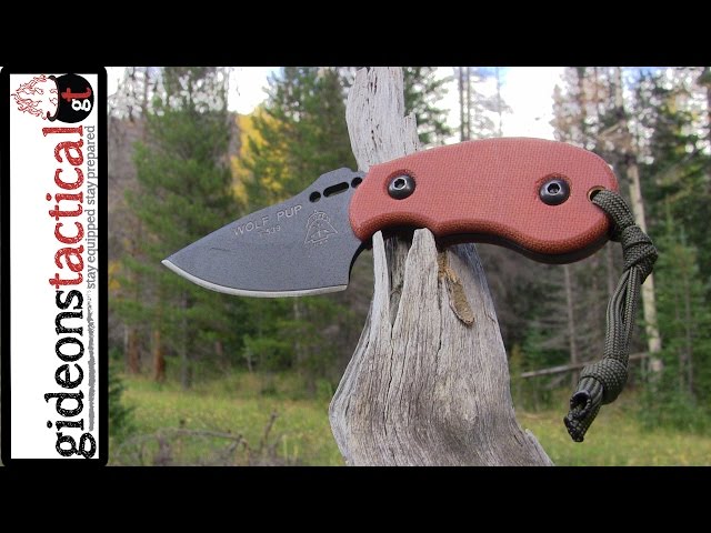 TOPS Knives Wolf Pup Review: Nothing But Belly