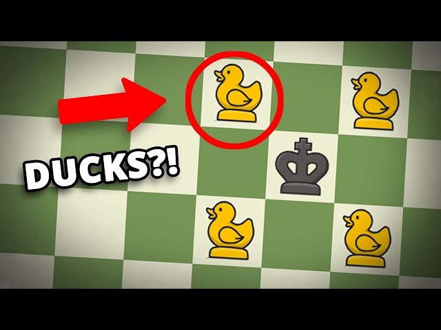 Weird Chess Variants You Didn't Know Existed!