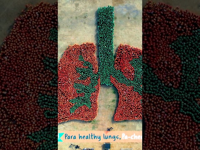 Largest human image of an organ - 5,596 by Department of Health (Philippines) 🫁