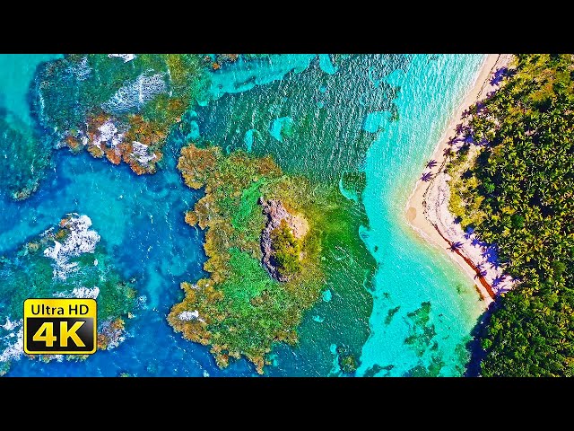 4K Video (Ultra HD) - The Secret Beach