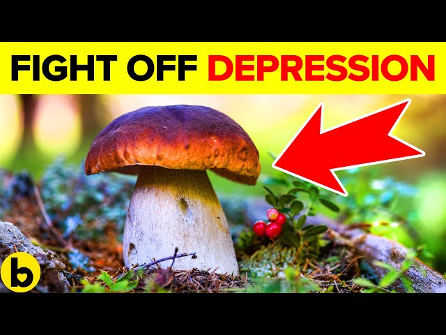 How Magic Mushrooms Can Help Fight Your Depression
