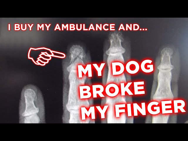 I bought My Ambulance! | Getting Ready for Full Time Ambulance Conversion Life