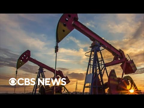 Oil expert provides insight on gas prices