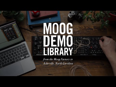 Mavis | Moog Demo Library