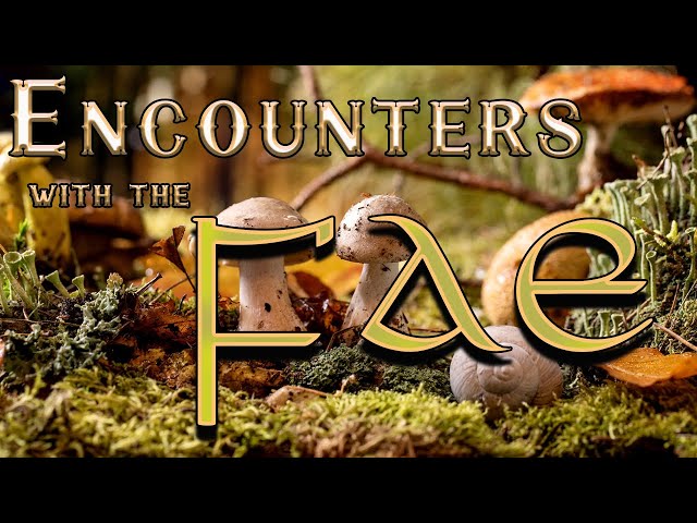 ENCOUNTERS WITH THE FAE