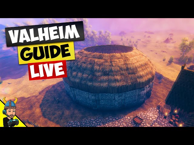 The Valheim Guide - LIVE! MIs my hair too long?