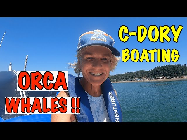 C-DORY BOATING ORCA WHALES!!!