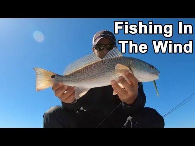How to Fish Effectively in Windy Conditions