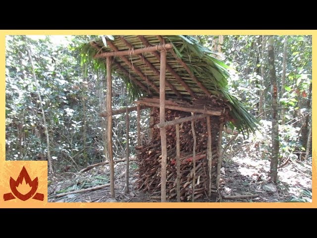 Primitive Technology: Wood shed and Native bee honey