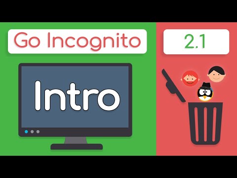 Section 2 Introduction | Go Incognito 2.1