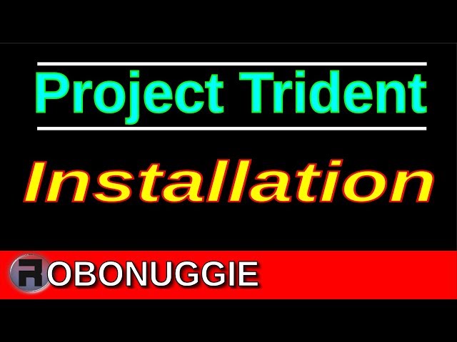 Project Trident 19.04 - Installation Guide
