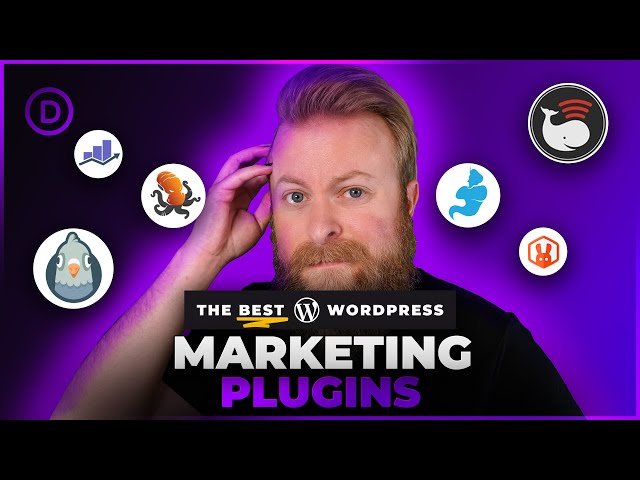 26 Best WordPress Marketing Plugins in 2024