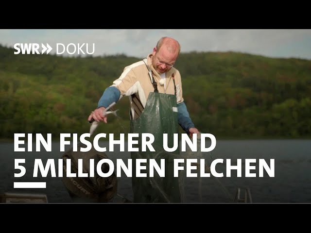 Umzug mit Fischen - Ein Fischer und 5 Millionen Felchen | SWR Doku