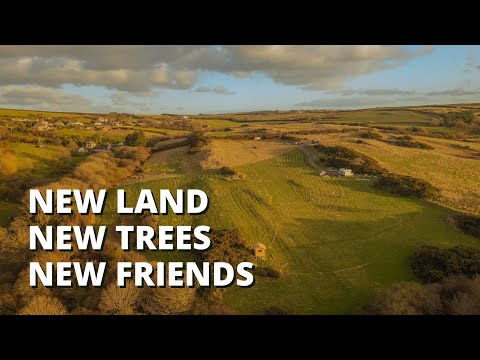 New Land, New Trees, New Friends